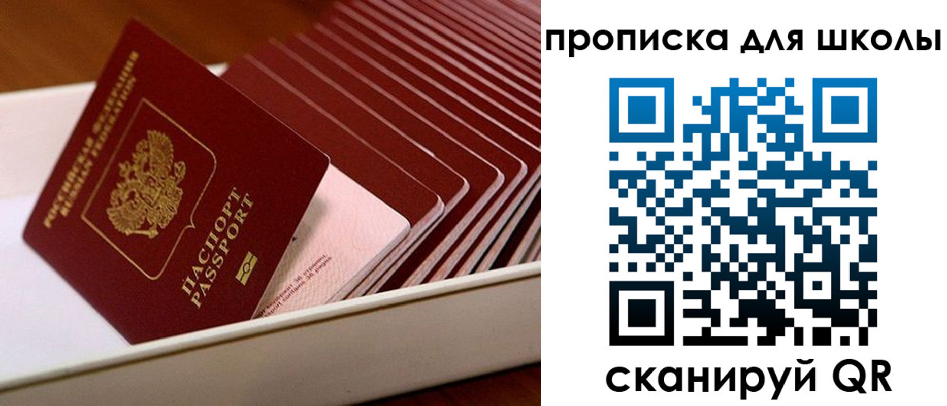 временная регистрация гарантия в Ростовской области